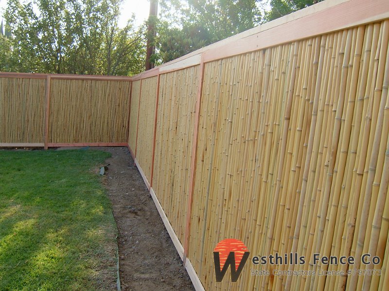 Bamboo fence (3)