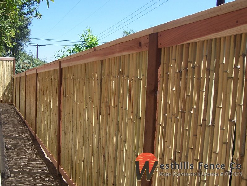 Bamboo fence (6)
