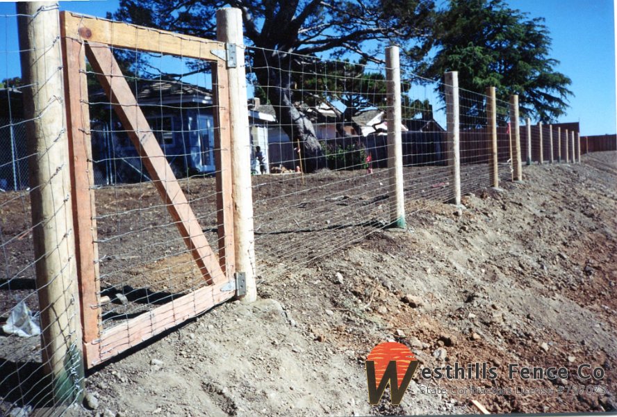 Wire fence