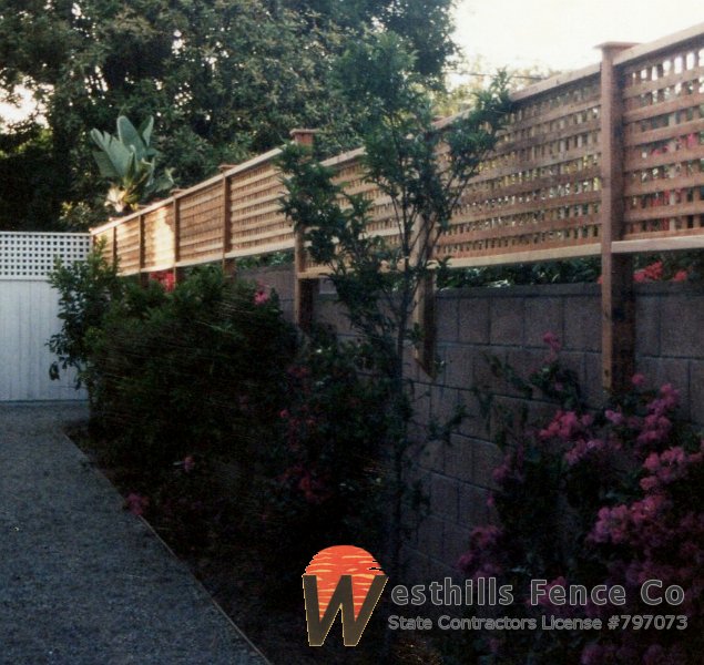 Square lattice (2)