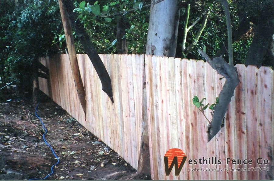 Dog-ear butted board and cut around tree