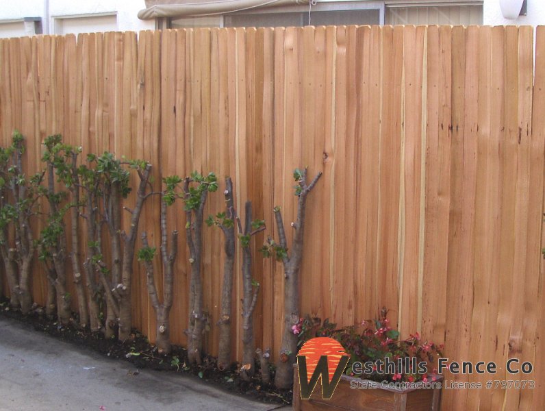Grapestake fence (2)