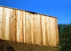 Grapestake with 2x4 cap.jpg