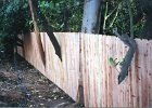 Dog-ear butted board and cut around tree.jpg