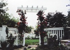 Arbor (13).jpg